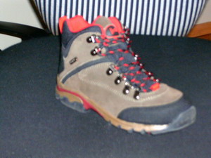 Schuh :
- den Knöchel, jedoch nicht die Wade bedeckend, 
- zum Schnüren (mit Metallösen versehen) und mit geschlossenem Blatt;
- mit einer stark profilierten, mehrlagigen Laufsohle aus Kautschuk, nicht gespritzt, dämpfende Komponenten enthaltend;
- mit einem Oberteil aus Kunststoff (den größten Teil der Außenfläche bildend) und Verstärkungs- und Zubehörteilen aus Rauleder, Kunststoff und Spinnstoff.

Schuhe, welche aufgrund ihrer robusten Verarbeitung und Ausstattung ausschließlich oder im Wesentlichen beim Wandern, Gehen oder Trekking getragen werden.