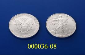 Silbermünzen, es handelt sich um einzelne Münzen (999/1000, lt. Antragstellerangaben) mit einem Nennwert von 1 US-Dollar. Auf der Vorderseite der Münze ist die "Walking Liberty" abgebildet. Auf der Rückseite des Silver Eagle ist der amerikanische Wappenadler abgebildet. Der Adler hält ein Band mit den Worten „E Pluribus Unum“ (dt.: Aus den Vielen eins), die den Leitsatz der USA darstellen. Über dem Kopf des Adlers sind 13 Sterne abgebildet. 
Die Münzen werden im Ausgabeland (USA) mit einem Feingewicht von 31,1 g und Design geprägt und sind dort gesetzliche Zahlungsmittel. 
Der Durchmesser der Münzen beträgt 38,6 mm.
Sie werden wegen ihres Sammlerwertes umgesetzt.
(Abbildung siehe Anlage)
