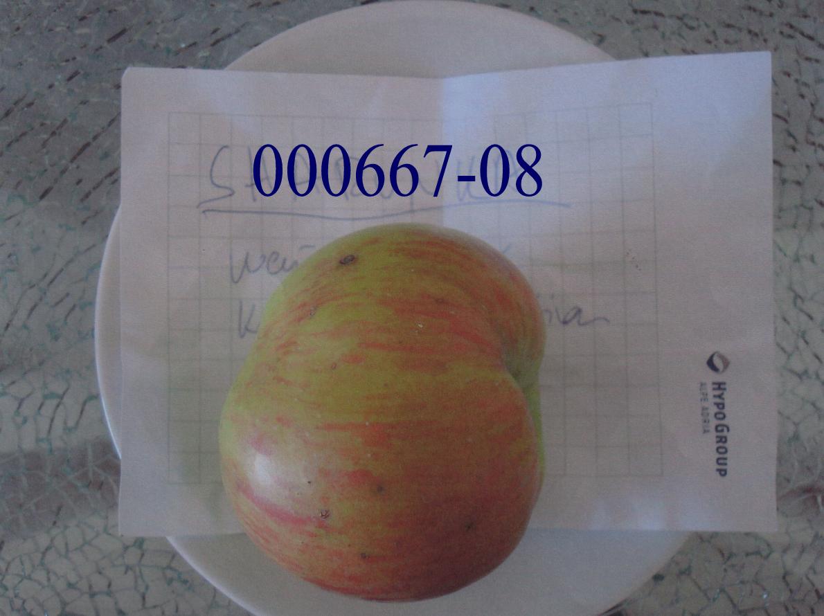 Mostäpfel der Sorte „Sharunka“ (serbische Züchtung einer ursprünglich türkischen Apfelsorte), lose geschüttet ohne Zwischenlagen, vom 16. September bis 15. Dezember; die nicht nach Größe oder Qualität sortierten Frischäpfel werden in Behältnissen zu 300 kg transportiert.