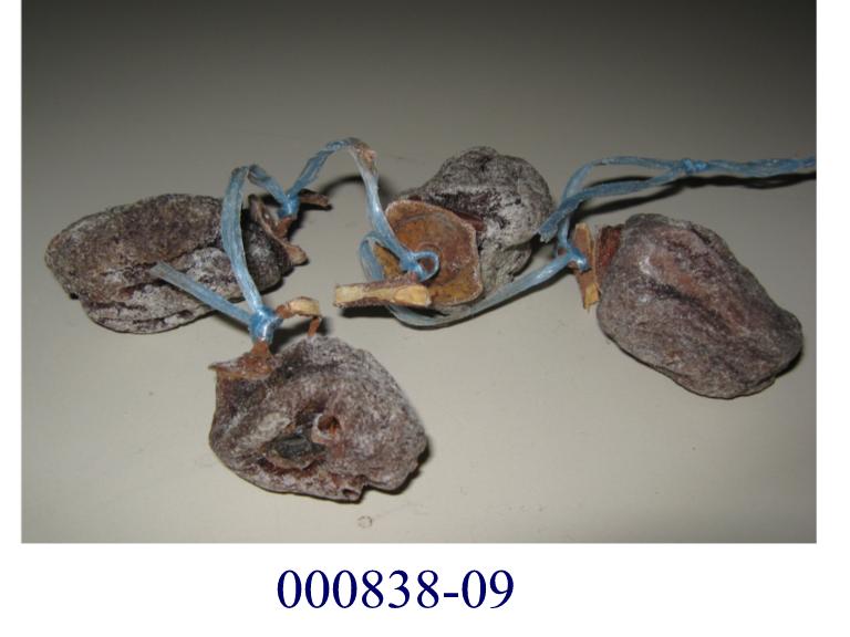 Getrocknete, ganze, länglich-ovale Früchte mit brauner, fester Schale (Persimmone, Sharon – der Kaki verwandte Frucht), ohne Zusatz von Zucker oder anderen Süßungsmitteln; die Früchte können mit Mehl bestreut sein, um ein Verklumpen zu verhindern; keine getrockneten Datteln der Position 0804.