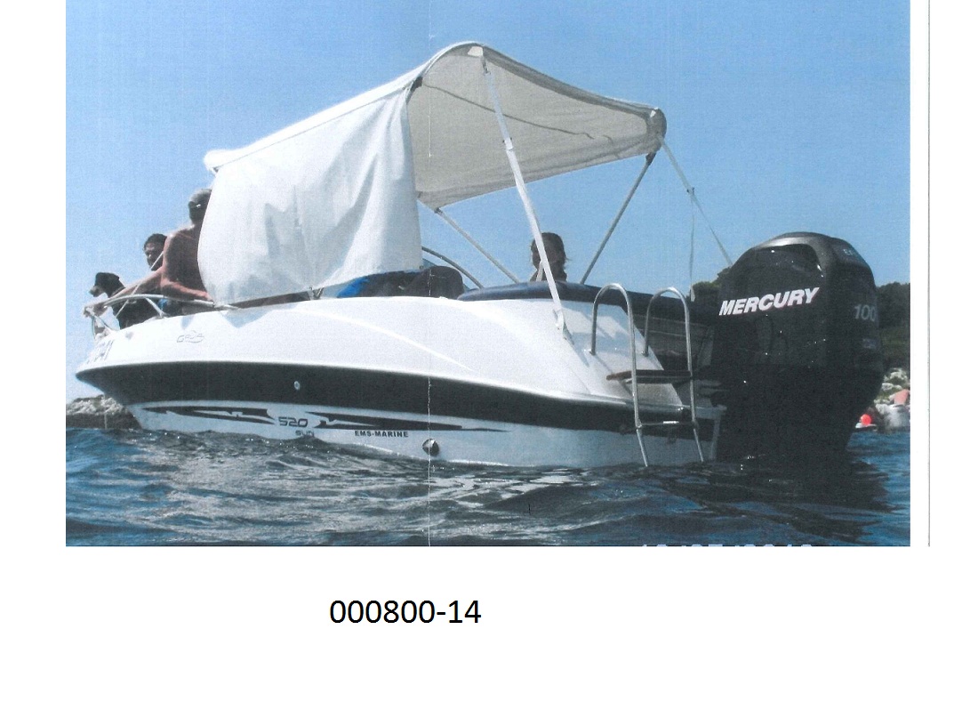 Motorboot mit Außenbordmotor (100 PS):
- Viertaktbenzinmotor (Modell: Mercury F 100 L EFI), 
- Gewicht ca. 1090 kg, 
- Länge 5,20 m. 
„Andere Motorboote mit einem Gewicht von mehr als 100 kg, mit einer Länge von 7,5 m oder weniger“.
(Abbildung siehe Anlage)