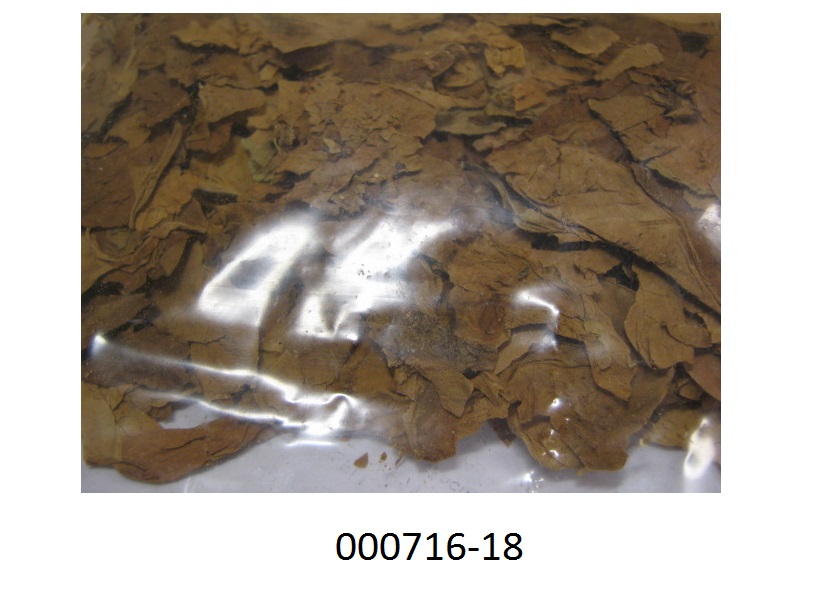 Anderer verarbeiteter Tabak und zwar Rauchtabak in Form eines getrockneten, braunen, grob zerkleinerten und nach Tabak riechenden Pflanzenschnittes; kein Feinschnitt, da weit mehr als 25 Gewichtsprozent der Tabakteile eine Schnittbreite von mehr als 1,5 mm aufweisen; der Tabak dient zur Herstellung vo Zigaretten und Zigarillos; aufgrund des durchgeführten Rauchtests kein Rohtabak der Position HS 2401, da der Tabak nach einer einfachen Bearbeitung geraucht werden kann.