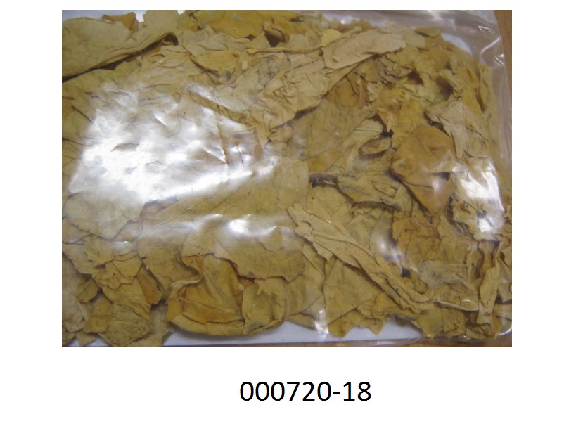 Anderer verarbeiteter Tabak und zwar Rauchtabak in Form eines getrockneten, gelbbraunen, grob zerkleinerten und nach Tabak riechenden Pflanzenschnittes; kein Feinschnitt, da weit mehr als 25 Gewichtsprozent der Tabakteile eine Schnittbreite von mehr als 1,5 mm aufweisen; der Tabak dient zur Herstellung vo Zigaretten und Zigarillos; aufgrund des durchgeführten Rauchtests kein Rohtabak der Position HS 2401, da der Tabak nach einer einfachen Bearbeitung geraucht werden kann.