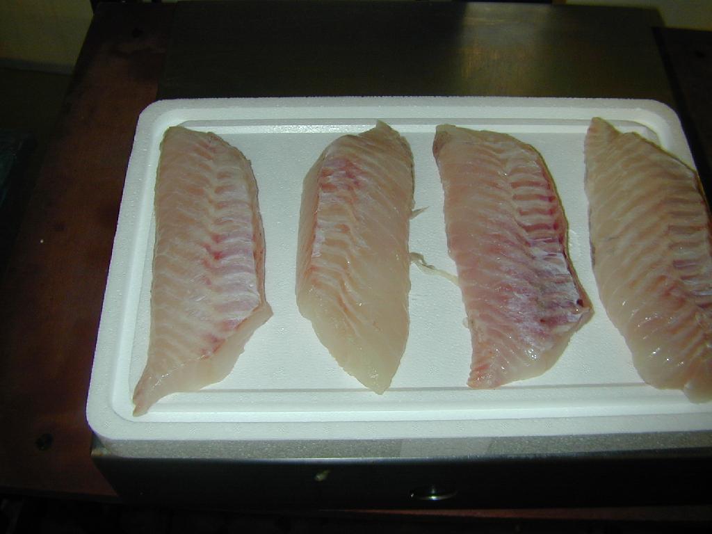 Bijgeknipte filets (zonder buikflap en met getrimde staart), telkens twee stuks per vis, van de soort Noorse schelvis of roodbaars (Sebastes spp.), aangeboden in verse of gekoelde toestand.