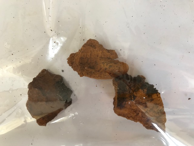 Сушени късове с различна големина и неправилна форма от гъбата Inonotus obliquus „chaga“.
Гъбата е свободно растяща и паразитираща върху брези, като не може да се консумира директно, а най-често след накисване във вода. Използва се като лечебно средство в борбата срещу множество заболявания. Транспортира се в кашони с нетно тегло от 20 килограма.
