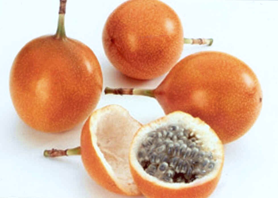 Granadilla - grenadila (Passiflora ligularis) - čerstvé exotické ovoce, určené k přímé spotřebě. 
Deklarovaný popis zboží: Plody kulovitého tvaru o průměru cca 7 cm, slupka je lesklá, tmavě žlutá, oranžově tečkovaná. Dužina našedlé barvy s velkým obsahem černých semen.
Balení: 6 – 8 kusů nebo 15 -18 kusů v otevřeném kartónu.