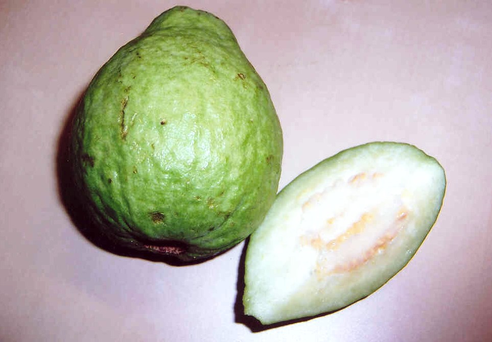 Guave/guava (Psidum guajava) - čerstvé exotické ovoce, určené k přímé spotřebě. 
Deklarovaný popis zboží: Plody hruškovitého tvaru o délce 4 - 5 cm. Slupka je světle zelená s hrbolky. Dužina je zbarvena v různých odstínech od světle béžové po růžovou a obsahuje drobná semena.
Balení: 6 - 8 kusů nebo 12 – 16 kusů v otevřeném kartónu.