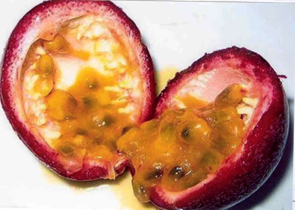 Passion fruit (Passiflora edulis) - čerstvé exotické ovoce, určené k přímé spotřebě.
Deklarovaný popis zboží: Plod je kulovitého tvaru o průměru cca 3 cm, povrch tmavě fialový až tmavě hnědý, slupka velmi tlustá a pevná. Dužina je oranžově zbarvená a obsahuje velké množství semen.
Balení: 2 kg ovoce volně v uzavřeném kartónu.