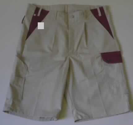 Kurze Hose für Männer, sog. Bermudas (Artikel 5360008), Größe 52, siehe Foto,
- aus verschiedenen, 0,4 mm dicken, einfarbigen Geweben aus laut Antrag 65% Polyester
  (synthetische Chemiefasern) und 35% Baumwolle,
- in der Taille abschließend mit einem Taillenbund, mit Gürtelschlaufen,
- vorne mit Öffnung mit Reißverschluss, verdeckt von einer Patte mit Knopfverschluss 
  im Bund von links auf rechts (Männerkleidung),
- mit zwei eingesetzten Eingriffstaschen; mit verschiedenen, aufgesetzten Taschen auf 
  den Hosenbeinen und einer aufgesetzten Gesäßtasche,
- mit kurzen Hosenbeinen, die nicht die Knie bedecken (Seitenlänge: 59 cm),
- an den Beinabschlüssen gesäumt,
- keine Einreihung als Arbeits- und Berufskleidung, da u.a. bei kurzen Hosen eine
  entsprechende Unterteilung nicht vorgesehen ist.