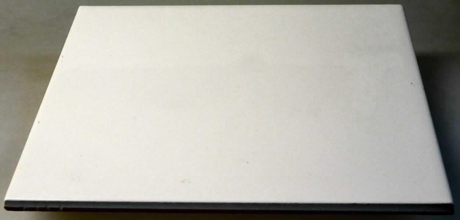 Glasierte keramische Fliese, sog. Keramikfliese, Art.-Nr. TILE-G-1515/-1520/-2020/-2025/-2030/-3030, Abbildung 
siehe Anlage, 
- einseitig glasierte, weiße, flache, rechteckige und quadratische Fliesen, 
- mit den Abmessungen von ca. 15,0 x 15,0 x 0,6 cm (lag zur Begutachtung vor), 
- - lt. Antrag in weiteren Abmessungen erhältlich: 15,2 x 20 cm, 20 x 20 cm, 20 x 25 cm, 20 x 30 cm und 30 x 30 
    cm, 
- mit einer Oberfläche von mehr als 90 cm², 
- keramische Erzeugnisse, nach der Formgebung gebrannt, tonmineralhaltiges Material enthaltend, 
- nach dem Ergebnis der wissenschaftlichen Untersuchung handelt es sich um Steingut.

"Glasierte keramische Fliese, andere als in der Unterposition 6908 1000 genannte, aus Steingut, weder eine Spalt- 
 platte noch mit einer Oberfläche von 90 cm² oder weniger"