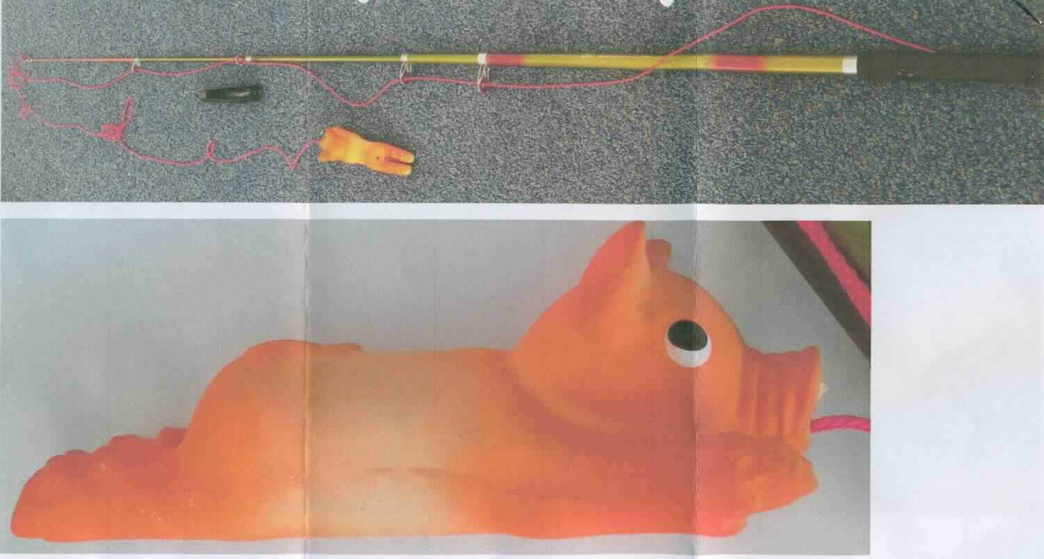 Angelrute, sog. "Hundespielzeug aus Latex an Reizangel" in Form einer zusammengesetzten Ware, bestehend aus
- einer Teleskopangel
-- offensichtlich aus Fiberglasstäben gearbeitet, mit einem Griff aus Kunststoff
-- auf eine Länge von ca. 175 cm ausziehbar
-- mit einer ca. 3 m langen, roten Angelschnur aus einem Geflecht, die durch fünf Führungsringe läuft
- einem ca. 14 cm langen Schweinchen
-- lt. Antragsangabe aus Latex gefertigt
-- mit einer integrierten Quietsche
-- an der Angelschnur festgeknotet.

Mit der Angel soll der Spiel- und Jagdtrieb des Hundes geweckt werden. Auf Grund des Umfangs und der Bedeutung in Bezug auf die Verwendung bestimmt die Teleskopangel den Charakter der zusammengesetzten Ware.

Die Ware ist als "Angelrute" einzureihen.