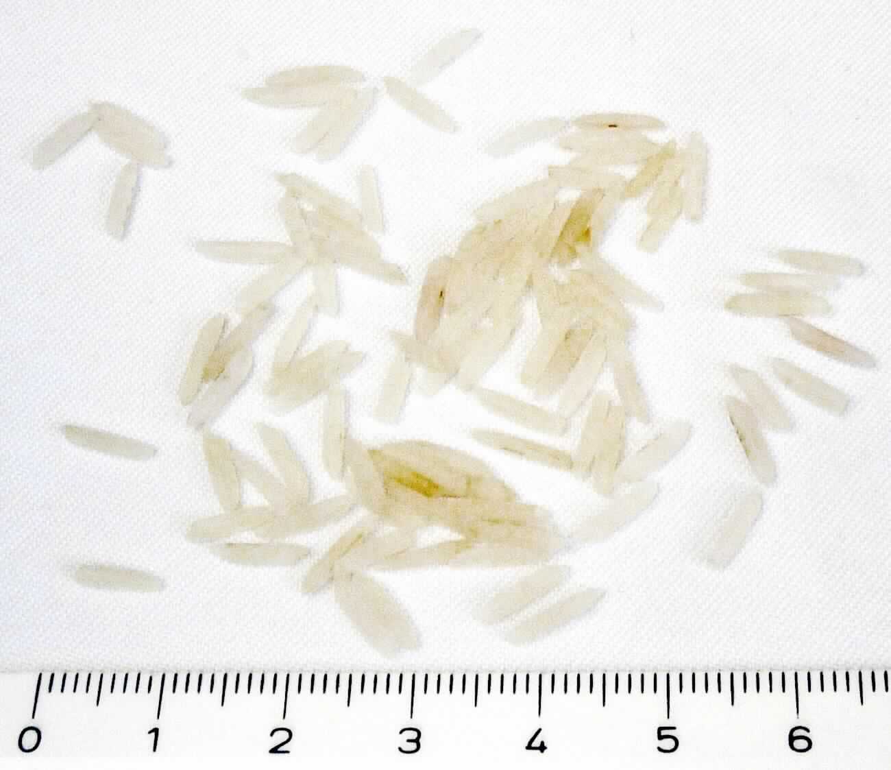 Reis

Antragsangaben: Basmatireis geschält und poliert, Reis in Großgebinden von 1000 - 1050 kg.

Äußere Beschaffenheit der vorgelegten Warenprobe: Augenscheinlich liegt eine Mischung aus naturweißem, langkörnigen, halbgesschliffenem Reis, nicht parboiled, wenig vollständig geschliffenem Reis, nicht parboiled und Bruchreis vor, abgepackt in einem transparenten Kunststoffbeutel. Augenscheinlich ist der Reis weder vorgekocht noch gegart, besitzen die Körner eine Länge von mehr als 6,0 mm und ein Verhältnis der Länge zur Breite von 3 oder mehr. 

Der größte Anteil liegt augenscheinlich als halbgeschliffener Langkornreis vor. Der halbgeschliffene Langkornreis bestimmt den Charakter der Ware. Es wird als richtig unterstellt, dass es sich hier um einen Basmatireis handelt.

Reis, vollständig geschliffen, auch poliert, anderer als parboiled, langkörnig, mit einem Verhältnis der Länge zur Breite von 3 oder mehr, in einer unmittelbaren Umschließung von mehr als 20 kg, Duftreis, Basmatireis.