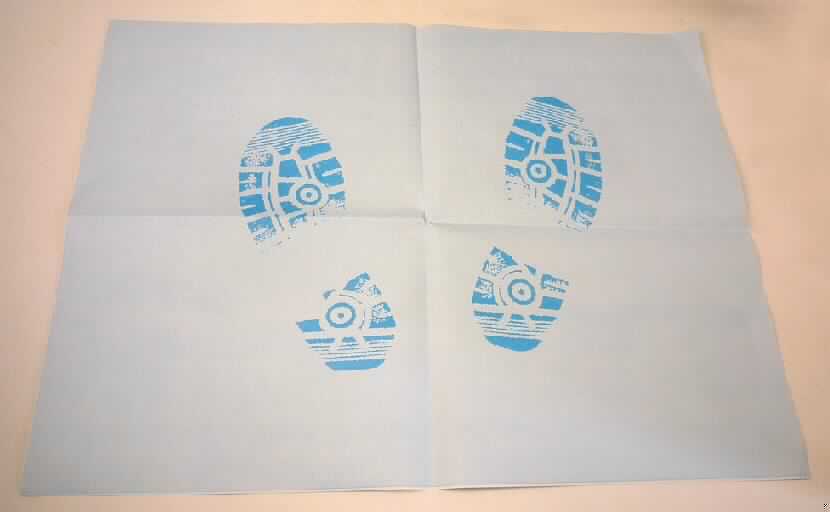 Bei den als "Fussmatten Paperplast" bezeichneten Erzeugnissen handelt es sich nach den vorgelegten Warenmustern um rechteckige, etwa 38,0 x 50,0 cm große Bogen eines Papiers, dessen eine Seite mit einer dünnen Kunststofffolie überzogen und dessen andere Seite im Wesentlichen mit Abbildungen von zwei Fußabdrücken bedruckt ist (Quadratmetergewicht etwa 76 g, nicht klimatisiert). Die Bogen werden nach den Angaben der Antragstellerin in Autowerkstätten zum Schutz von Autoteppichböden vor Verunreinigungen verwendet.

Derartige Waren gehören als "andere Papiere, mit Kunststoff überzogen, auf der Oberfläche bedruckt, in rechteckigen Bogen jeder Größe, ausgenommen Waren von der in Position 4803, 4809 oder 4810 beschriebenen Art, mit einem Quadratmetergewicht von weniger als 150 g" zur Codenummer 4811 5900 00 des Integrierten Zolltarifs der EG (TARIC).