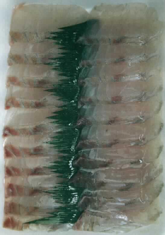 Nach den Angaben der Antragstellerin und der vorgelegten Probe handelt es sich um rohe, tiefgefrorene Fischfilets ohne Haut und Gräten von Fischen der Art Lates calcarifer (Barramundi). Nach Angaben in der Fachliteratur ist der Barramundi ein Süßwasser- und Seefisch, der hauptsächlich im Süßwasser lebt. Die in kleine Stücke geschnittenen Fischfilets werden zur Herstellung von Sushi (als Topping) verwendet. 
Jeweils 20 Fischfiletstückchen sind auf einem Tray (Inhalt ca. 160 g) aufgemacht.

Zolltarifrechtlich handelt es sich um gefrorene Fischfilets von Süßwasserfischen der Art Lates calcarifer.