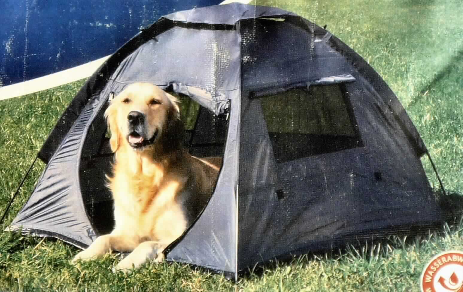 Zelt, sog. Zelt für Hunde, Art. 39681, Foto siehe Anlage,
- zerlegt eingehend; mit Montagematerial (zwei Fiberglasgestänge und vier Erdnägel (sog. Heringe)),
- mit einer Aufbauanleitung in einer Tragetasche aus Geweben verpackt; Gestänge und Heringe des Zeltes sind 
  zusätzlich in Gewebebeuteln mit Bindeband verpackt (beides übliche Verpackungen im Sinne der AV 5b)),
- aufgebaut laut Antrag in den Abmessungen: 88 cm x 72 cm x 115 cm,
- mit einem Bodenteil aus ca. 0,2 mm dicken, einfarbigen Geweben aus Streifen aus synthetischer Spinnmasse
  mit einer augenscheinlichen Streifenbreite von weniger als 5 mm; die Gewebe weisen auf beiden Seiten einen 
  Glanz auf, ein Überziehen mit Kunststoff ist jedoch mit bloßem Auge nicht wahrnehmbar (somit kein 
  Flächenerzeugnis des Kapitels 39),
- mit Seitenwänden aus ca. 0,1 mm dicken, einfarbigen Geweben aus laut Antrag 100 % Nylon (synthetische
  Chemiefasern),
- an drei Seitenwänden, in der Kuppel und an der Einstiegsöffnung, die mit einem Reißverschluss verschlossen
  werden kann, zusätzlich mit einem eingenähten Zuschnitt bzw. mit Einsätzen aus durchbrochenen Gewirken
  (sog. Belüftungsnetz) ausgestattet,
- mit über die Belüftungen spannbaren Gewebezuschnitten ausgestattet,
- durch Zusammennähen konfektioniert,
- nach dem Umfang und dem Verwendungszweck bestimmen die Gewebe aus synthetischen Chemiefasern den
  Charakter der Ware,
- bildet einen geschlossenen Raum; erfüllt daher die Begriffsbestimmung für ein Zelt,
- aufgrund der neutralen Gestaltung ist die Ware nicht als Hundezelt erkennbar, somit keine andere Ware
  aus Spinnstoffen der Position 6307.  

"Zelt aus Spinnstoffen, aus synthetischen Chemiefasern"