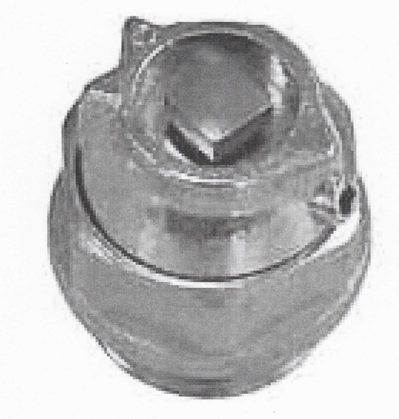 Einschraubventil für Heizkörper, sog. "Entlüftungsventil", in einem flachen zylindrischen Gehäuse aus vernickeltem Messing, mit 3/8"-Aussengewinde an einem Ende, mit eingesetztem Auslaufkragen und zentraler stirnseitiger Vierkant-Aufnahme zur Betätigung am anderen Ende, zum Einbau in Heizkörper von Zentralheizungsanlagen (Radiatoren), zur Entlüftung dieser Heizkörper bzw. der Heizungsanlage.

Die Ware ist als "Armatur für Heizkörper von Zentralheizungen, nicht von Unterpos. 8481 10 bis 8481 8031 00 0 erfasst, Entlüftungsventil" einzureihen.