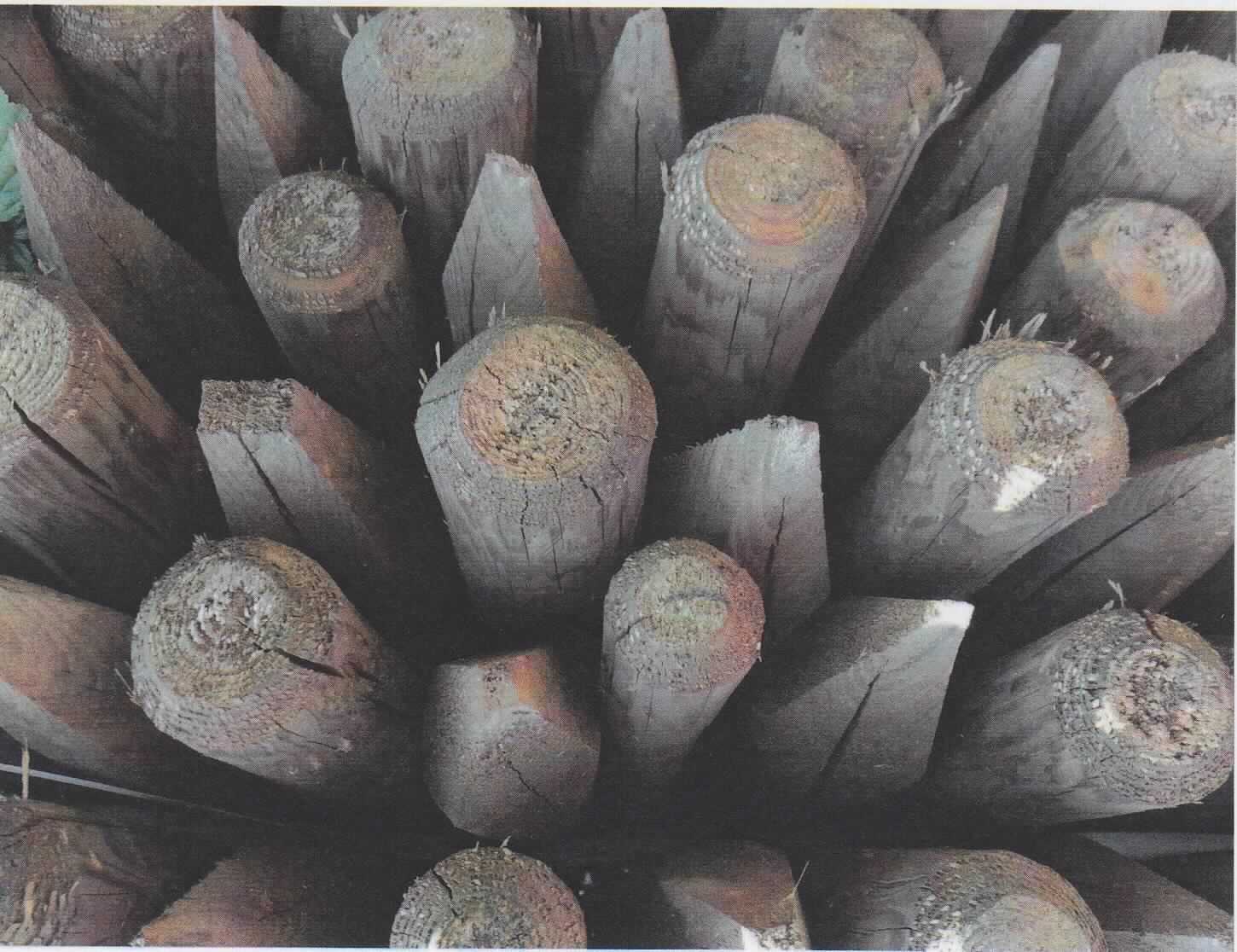 Pfähle Nadelholz
- aus rundem, maschinell geschältem (entrindetem) Nadelholz (Fichte, Tanne, Kiefer), glatte 
  Oberfläche aufweisend, sich nach oben verjügend (Durchmesser ca. 30/50, 50/70, 70/80, 
  80/100 oder 100/120 mm),
- eine Stirnseite gespitzt, andere Seite in Querrichtung abgelängt/gekappt und Kante ge-
  rundet/gefast,
- teilweise mit Konservierungsstoffen imprägniert,
- nicht in der Längsrichtung gesägt,
- in Längen von 1 bis 3,5 Meter.
(Abbildung siehe Anlage)

"Pfähle aus Nadelholz, gespitzt, nicht in der Längsrichtung gesägt"