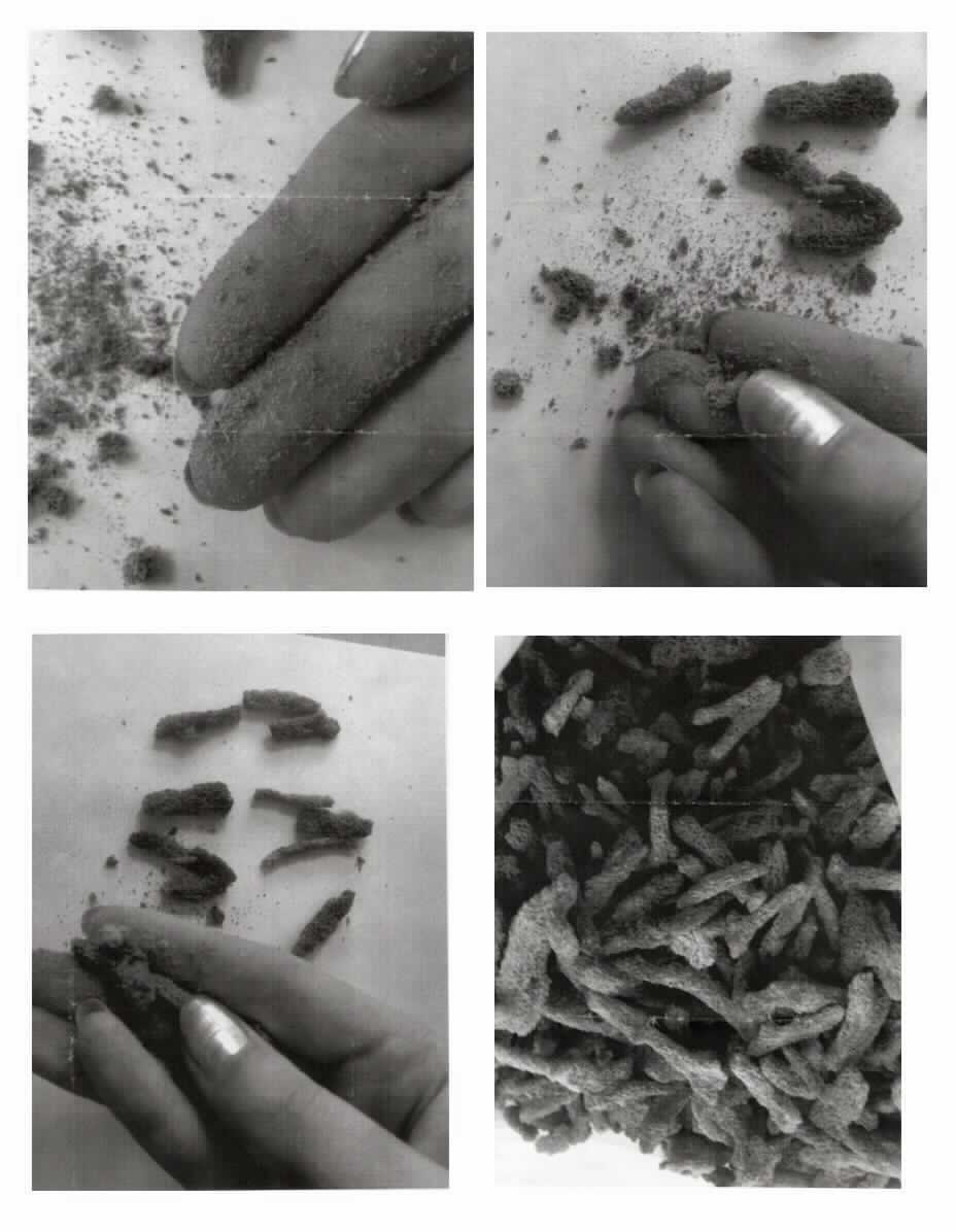 Nach den Angaben der Antragstellerin handelt es sich um einen natürlichen, rohen, lediglich getrockneten und zerkleinerten Süßwasserschwamm der Art Spongilla lacustris ohne weitere Zusätze. Der Schwamm findet Verwendung in der Kosmetik.

Die Einreihung setzt voraus, dass es sich nach der grenzveterinärrechtlichen Beurteilung um ein für die menschliche Ernährung ungeeignetes (ungenießbares) Erzeugnis handelt.

Zolltarifrechtlich handelt es sich um "Waren tierischen Ursprungs, anderweit weder genannt noch inbegriffen, natürliche Schwämme tierischen Ursprungs, roh".