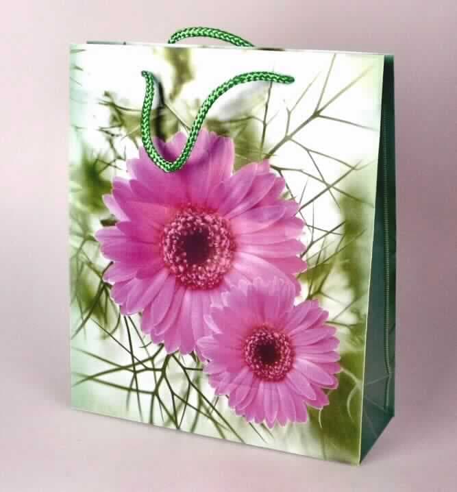 Bei der durch ein Warenmuster veranschaulichten Ware handelt es sich um eine Geschenktüte aus miteinander verschweißten Folien aus -lt. Antragsangaben- Polyester (Kunststoff im Sinne der Anmerkung 1 zu Kapitel 39) mit einer Foliendicke von 140 bis 150 Mikrometern (eigene Messung).

Der im flachliegenden Zustand ca. 27 x 23 x 8 cm große, bunt bedruckte Beutel ist am oberen Rand mit Zuschnitten aus Pappe verstärkt und Tragegriffen aus Spinnstoffkordeln ausgestattet.

Eine Einreihung in die Position 4202 scheidet aufgrund der Verarbeitung und Materialbeschaffenheit aus. Das Erzeugnis dient als Transport- bzw. Verpackungsmittel und ist für eine längere Verwendung nicht vorgesehen.

Derartige Waren werden zolltariflich als "Tüte aus Polyester, andere als in Codenummer 3923 2990 20 0 genannt" der Codenummer 3923 2900 99 0 zugewiesen.