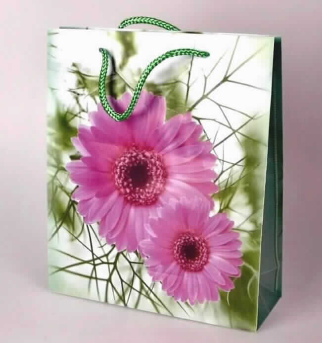 Bei der durch ein Warenmuster veranschaulichten Ware handelt es sich um eine Geschenktüte aus miteinander verschweißten Folien aus -lt. Antragsangaben- Polyester (Kunststoff im Sinne der Anmerkung 1 zu Kapitel 39) mit einer Foliendicke von 140 bis 150 Mikrometern (eigene Messung).

Der im flachliegenden Zustand ca. 27 x 23 x 8 cm große, bunt bedruckte Beutel ist am oberen Rand mit Zuschnitten aus Pappe verstärkt und Tragegriffen aus Spinnstoffkordeln ausgestattet.

Eine Einreihung in die Position 4202 scheidet aufgrund der Verarbeitung und Materialbeschaffenheit aus. Das Erzeugnis dient als Transport- bzw. Verpackungsmittel und ist für eine längere Verwendung nicht vorgesehen.

Derartige Waren werden zolltariflich als "Tüte aus Polyester, andere als in Codenummer 3923 2990 20 0 genannt" der Codenummer 3923 2990 99 0 zugewiesen.