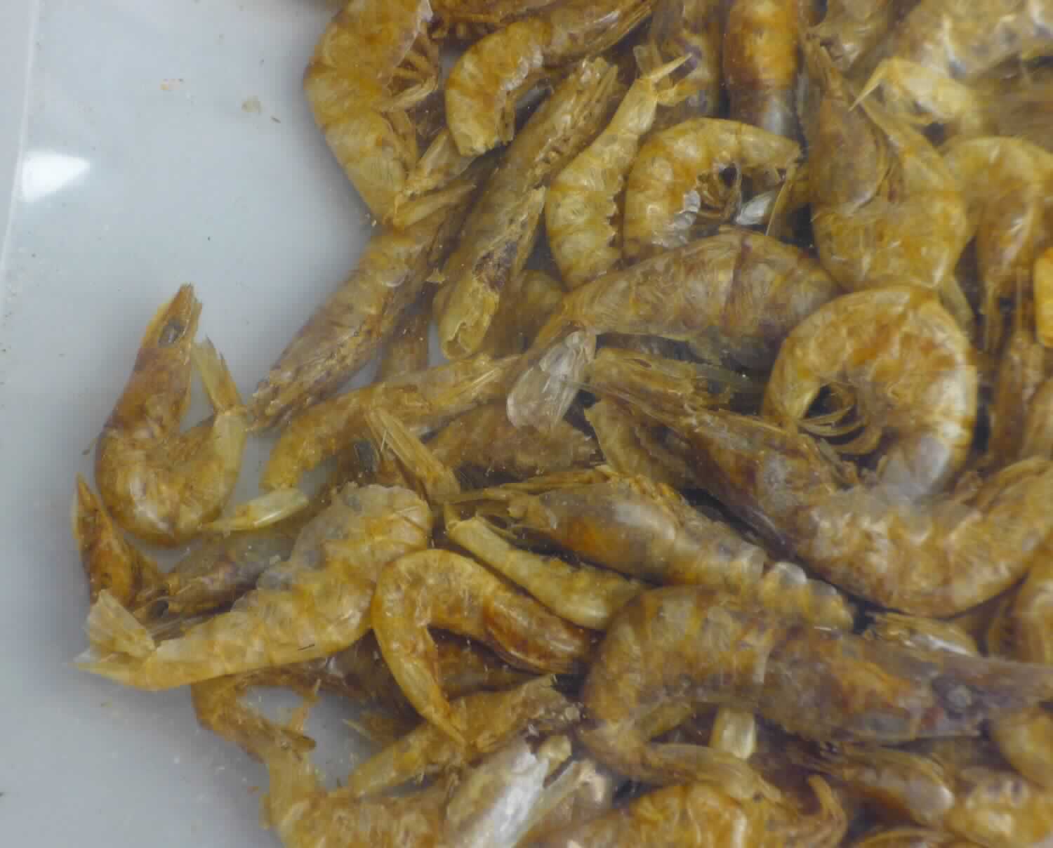 Nach den Angaben der Antragstellerin sowie dem vorliegenden Warenmuster handelt es sich bei den sogenannten Süßwassershrimps um ganze, getrocknete Garnelen ohne weitere Zusätze.
Die Ware wird als Einzelfuttermittel für Fische, Reptilien, Vögel und Nager verwendet und ist in 17 kg Säcken für den Einzelverkauf aufgemacht.

Zolltarifrechtlich handelt es sich bei derartigen für die menschliche Ernährung nicht geeigneten Erzeugnissen um "nicht lebende Tiere des Kapitels 3, anderweit weder genannt noch inbegriffen, ungenießbar, keine Abfälle".