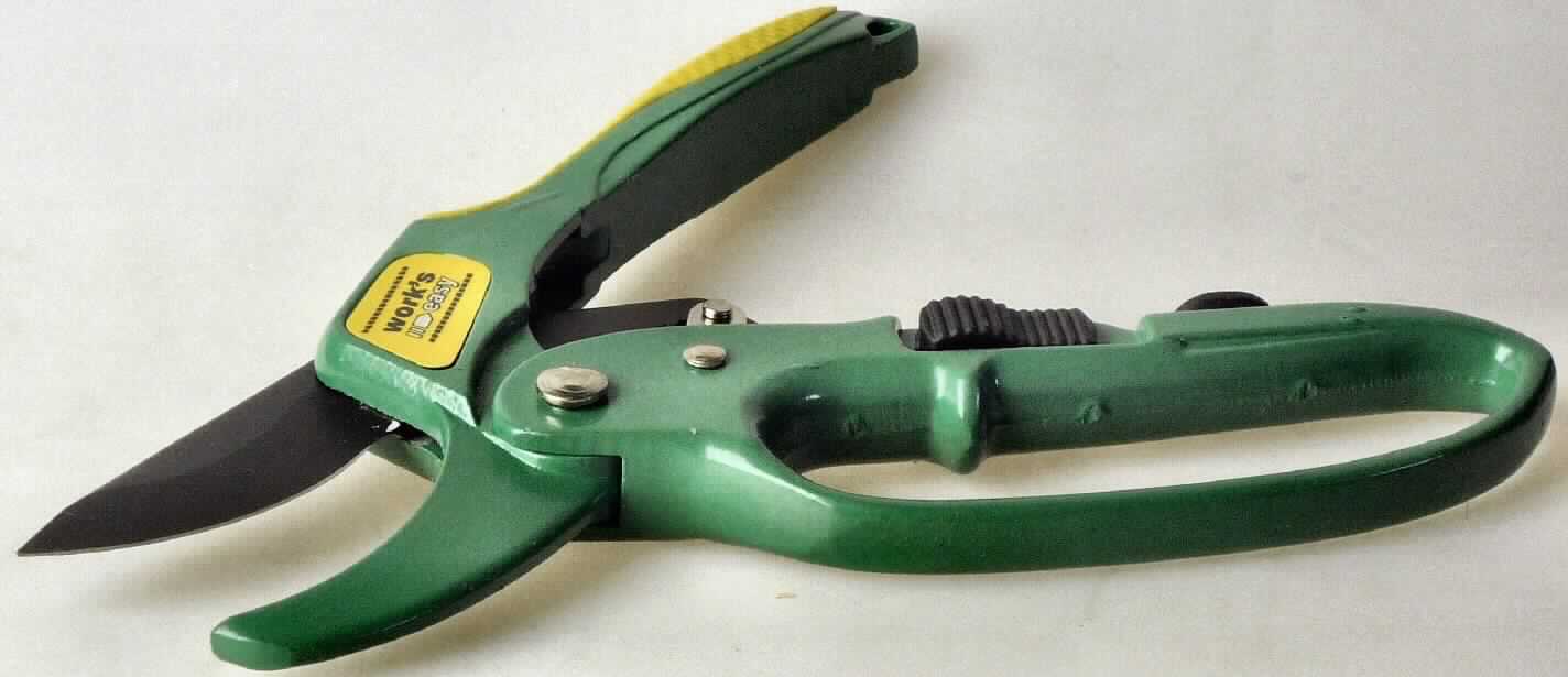 "Gartenschere"

- mit einer Hand zu betätigende Schere mit einer konkaven und einer konvexen Schneidklinge (arbeitender Teil) 
  aus Stahl 

- mit 4-Stufen Knarrensystem und Arretierung ausgestattet

- mit zwei Griffen, von denen der untere einen zu einer Schlaufe geformten Fingerschutz aufweist

- an den Enden ohne ringförmige Ösen zum Durchstecken der Finger

- zum Schneiden von bis zu 25 mm starken Ästen und Trieben

(Angaben lt. Antragsteller)

Abbildung siehe Anlage.

Derartige Erzeugnisse gehören als "mit einer Hand zu betätigende Gartenscheren, mit arbeitendem Teil aus unedlem Metall" zum TARIC-Code 8201 5000 00.