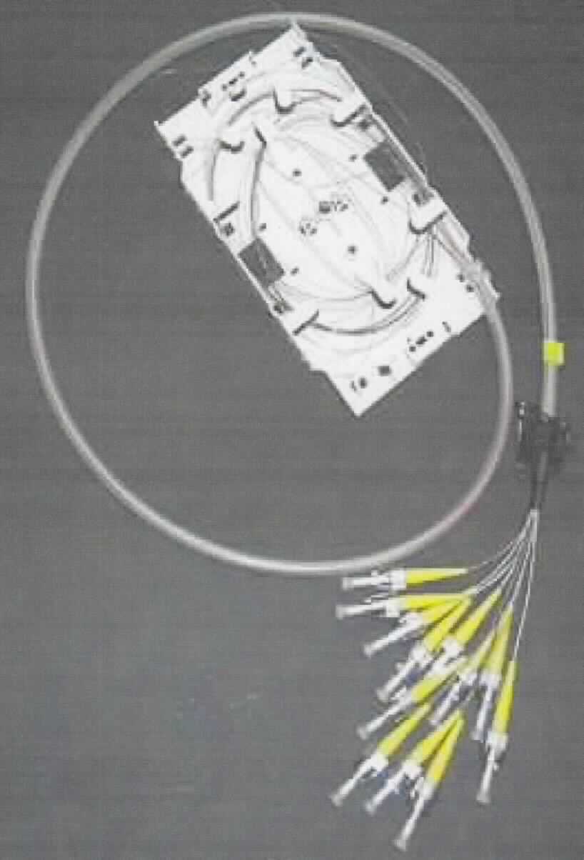 Spleißkassette, bestehend aus zwölf Lichtwellenleitern, jeweils mit einer Hülle aus Kunststoff und an einem Ende mit Anschlussstück versehen, in einem Verbundmantel mit Kennzeichnung -charakterbestimmend- zusammengesetzt mit einer spezifisch geformten Kunststoffkassette, zum Einlegen in ein Spleißgehäuse bestimmt.

Die Ware ist als "Kabel aus optischen, einzeln umhüllten Fasern, mit Anschlussstücken versehen - zusammengesetzte Ware aus charakterbestimmendem Kabel und Kunststoffkassette" einzureihen.