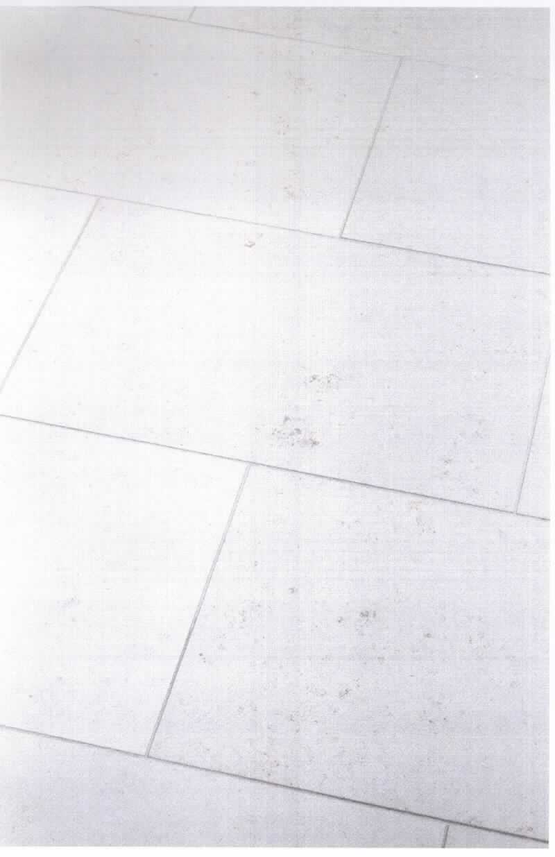 Angaben:
Terrassenplatten Dietfurter Kalkstein gala® 
Bearbeitung: Oberfläche sandgestrahlt, Seiten gesägt
Farbe: hellbeige-creme
Material: Kalkstein
Herkunft: Deutschland 
Größe: 60 x 40 x 4 cm, 115 kg / qm 
Größe: 90 x 60 x 4 cm, 115 kg / qm

Befund:
Bearbeitete Werksteine und Waren daraus