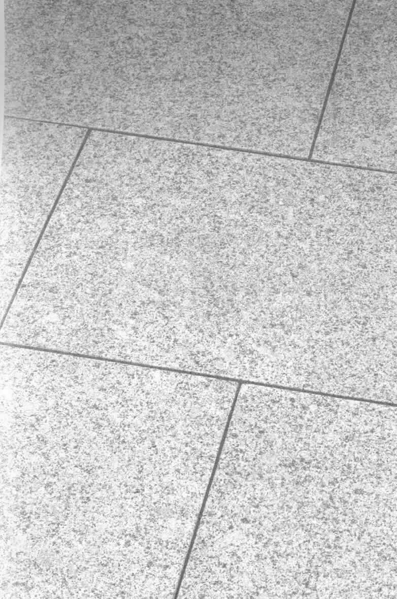 Angaben:
Terrassenplatten BRAVO EXACTA -geflammt- 
Bearbeitung: Oberfläche geflammt, Kanten gefast, Seiten gesägt 
Farbe: edelgrau 
Material: Granit 
Herkunft: China 
Größe: 20 x 20 x 3 cm 85 kg / qm 
Größe: 40 x 20 x 3 cm 85 kg / qm

Befund:
Bearbeitete Werksteine und Waren daraus