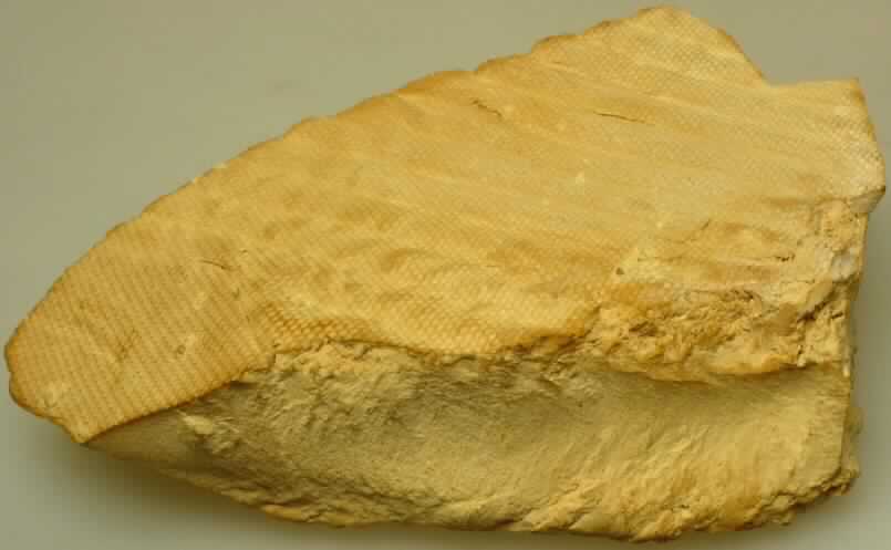 PVC/Papier-Filterkuchen (ausgehärtet)

Angaben:
Bei der Ware soll es sich um einen Rückstand oder Poly(vinilydenchlorid) (PVdC) und Poly(vinylchlorid) (PVC) und Papier handeln, der bei der Herstellung von Folien als Schlämme in einem Filter anfällt und anschließend getrocknet wird. 

Feststellungen: 
Vorgelegt wurden hellbraune, harte, unregelmäßig geformte, ca. 2,5 cm dicke Brocken mit strukturierter Oberflächer (ähnlich einem Siebabdruck, s. Foto). Das Material ist nicht thermoplastisch sondern zersetzt sich bei Wärmeeinwirkung.

Befund: Rückstand der chemischen Industrie oder verwandter Industrien, der nicht die Beschaffenheit von Polymeren der Pos. 3904 hat.