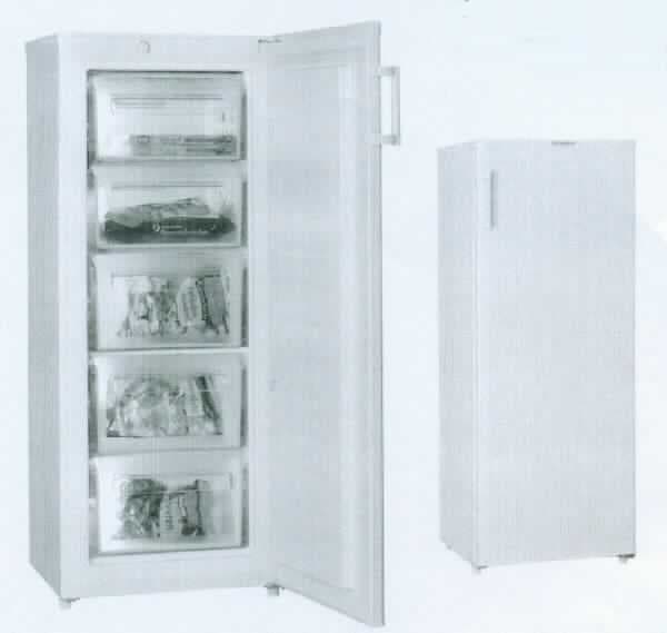 Gefrierschrank,
- aus einem quaderförmigen Gehäuse (Abmessungen HxBxT: 1440 x 555 x 550 mm) mit Tür, 
  Kompressorkühlkreislauf, Temperaturregler, 4 Gefriergut-Schubladen sowie 1 Gefriergut-Klappe 
  (Abbildung siehe Anlage),
- mit einem Nutzinhalt von 160 l,
- zum Einfrieren von Lebensmitteln und zum längeren Aufbewahren von Gefriergut.

"Gefrierschrank mit einem Inhalt von weniger als 250 l, nicht für zivile Luftfahrzeuge bestimmt - Gefrierschrank"