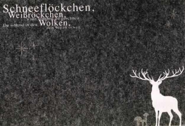 Ware zur Innenausstattung, sog. Filz Tischset grau mit Hirsch, Artikel 87736, Foto siehe Anlage,
- rechteckig, in den Abmessungen: 30 cm x 45 cm; mit einer Dicke von etwa 5 mm,
- laut Untersuchungsergebnis bestehend aus Filz aus Wolle,
- mit einem angenähten Etikett (konfektioniert),
- mit einem Liedtext und einem Hirschmotiv bedruckt,
- wird insbesondere wegen des Materials üblicherweise nicht gewaschen (somit keine Tischwäsche der
  Position 6302),
- mit eigenem Gebrauchswert (damit kein Weihnachtsartikel der Position 9505),
- kennzeichnet sich aufgrund des Verwendungszwecks als Ware zur Innenausstattung.

"Andere Ware zur Innenausstattung (Tischset), aus Filz aus Wolle"