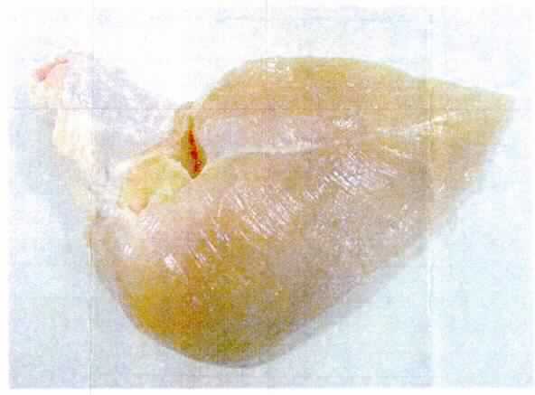 Nach den Antragsangaben und der vorliegenden Warenprobe handelt es sich augenscheinlich um Teile von Hühnern in Form von rohen, gefrorenen Brusthälften (ohne Brustbein oder Rippenknochen) und Oberarmknochen mit Fleisch, wie gewachsen miteinander verbunden. 

Zolltariflich handelt es sich um gefrorene Teile von Hühnern mit Knochen, andere als in den Unterpositionen 0207 1420 bis 0207 1460 genannt.