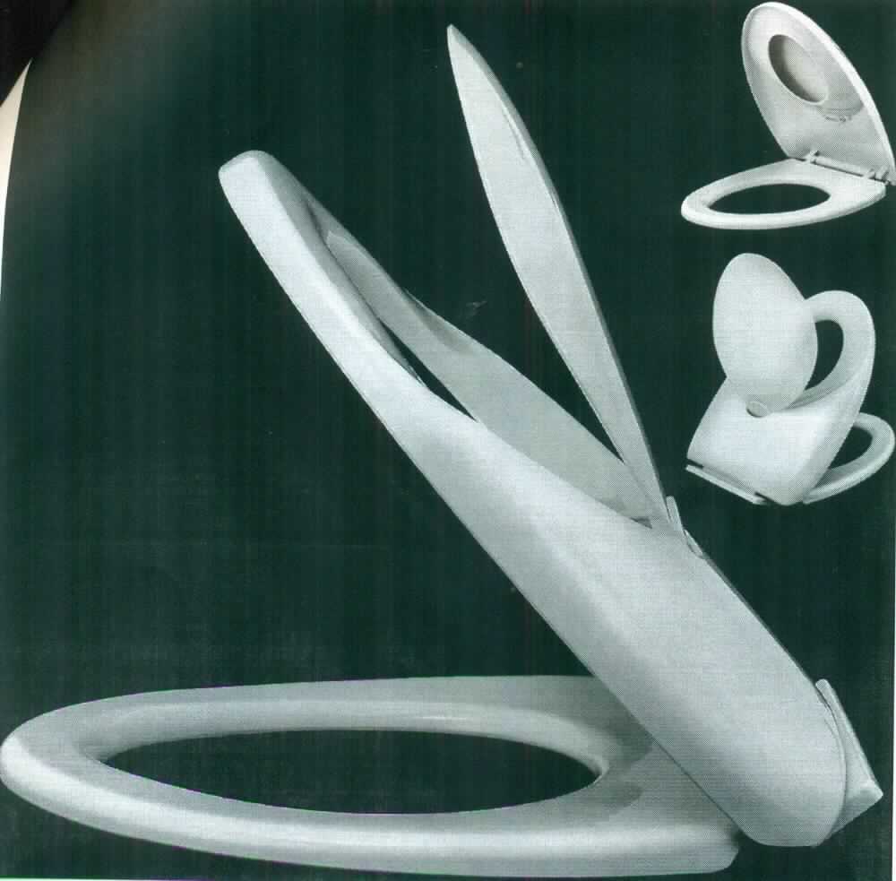 Es handelt sich um einen weißen Klosettsitz aus - lt. Antragsangaben - Polypropylen, einem Kunststoff im Sinne der Anmerkung 1 zu Kapitel 39. Die etwa 48,5 x 35 x 6,5 cm große Ware ist mit einem Deckel mit integrierter Absenkautomatik versehen, der auf der Oberseite mit einem Klappdeckel und einem darunter befindlichen WC-Sitz für Kinder ausgestattet ist. 

Derartige Erzeugnisse werden zolltariflich als "Klosettsitze und - deckel, aus Kunststoffen" eingereiht".