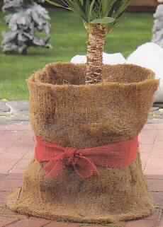Warenzusammenstellung, bestehend aus Nadelfilz (sog. Garten-Kokos-Matte) und
einem Gewebe aus Jutegarnen (sog. Jute-Band), siehe Foto,
- in gemeinsamer Aufmachung für den Einzelverkauf; zur Befriedigung eines
  speziellen Bedarfs (Pflanzenschutz) zusammengestellt und verpackt,
- Garten-Kokos-Matte:
-- rechteckig zugeschnitten (somit nicht konfektioniert); in den Abmessungen:
   etwa 150 cm x 50 cm,
-- laut Untersuchungsergebnis bestehend aus Nadelfilz aus Kokosfasern der
   Position 5305; weder getränkt, bestrichen, überzogen noch mit Lagen versehen,
-- weist keine charakteristischen Merkmale von Fußbodenbelägen auf (somit kein
   Fußbodenbelag des Kapitels 57)
- Jute-Band:
-- in den Abmessungen: etwa 300 cm x 8 m,
-- mit lediglich geschnittenen Rändern (nicht konfektioniert),
-- laut Untersuchungsergebnis bestehend aus Gewebe aus Jutegarnen,
-- dient dem Festbinden der Kokos-Matte,
- insbesondere in Bezug auf die Verwendung und den Umfang bestimmt der Nadelfilz
  aus Kokosfasern den Charakter der Warenzusammenstellung.