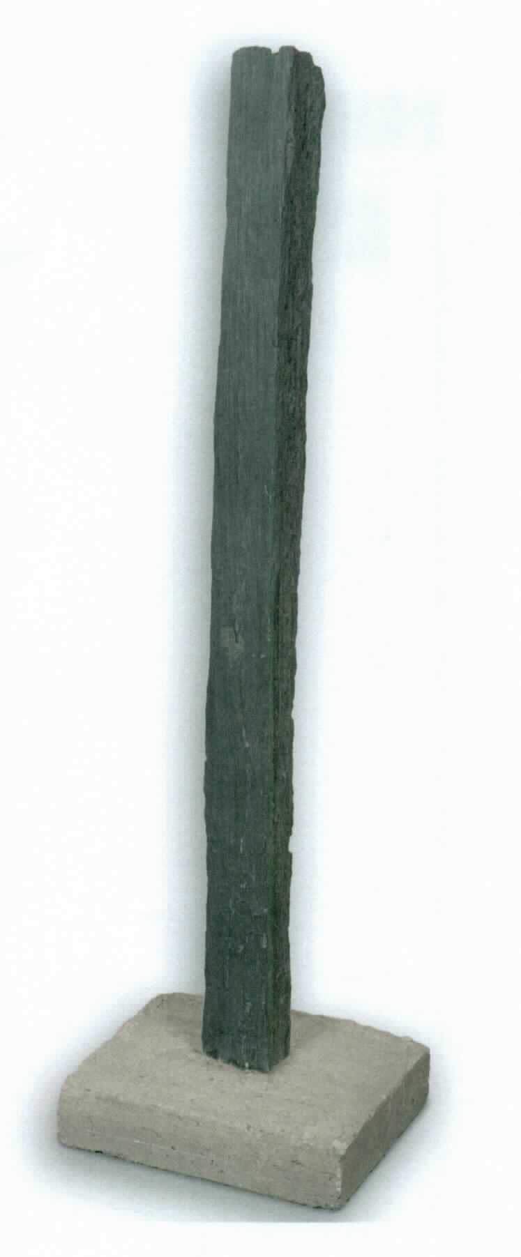Angaben:
Palisaden 6-10x6-10cm- YALTA 
Bearbeitung: Oberfläche spaltrau, Stirnseite gespalten
Farbe: schwarz-anthrazit
Material: Schiefer 
Herkunft: Portugal 
Größe: 6-10x6-10x100 cm mit Betonfuß 34 kg/Stück 
Größe: 6-10x6-10x150 cm mit Betonfuß 67 kg/Stück 
Größe: 6-10x6-10x200 cm mit Betonfuß 95 kg/Stück 
Größe: 6-10x6-10x250 cm mit Betonfuß 129 kg/Stück 
Größe: 6-10x6-10x290 cm mit Betonfuß 139 kg/Stück

Befund:
Waren aus Tonschiefer oder aus Pressschiefer, andere

Zusammengesetzte Ware, bei der im Sinne der AV 3b) die Palisade aus Schiefer als charakterbestimmend angesehen wird.