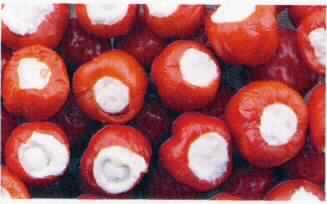 Früchte der Gattung Capsicum, gefüllt mit Frischkäse.

Antragsangaben (als zutreffend unterstellt): Marinierte Peppadew Piquanté, gefüllt mit Frischkäse, tiefgekühlt. Zur Zusammensetzung wurden vertrauliche Angaben gemacht. Aufmachung: Karton mit einem Nettogewicht von 1 kg.

Ein Warenmuster wurde nicht vorgelegt.
Nach den vorgelegten Angaben beträgt der Gehalt an freier, flüchtiger Säure, berechnet als Essigsäure weniger als 0,5 GHT.

Anderes Gemüse, anders als mit Essig oder Essigsäure zubereitet oder haltbar gemacht, ausgenommen Erzeugnisse der Position 2006, andere als in den UPos 2004 1010 bis 2004 9091 genannt, andere.