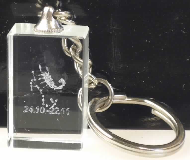 Es handelt sich um Erzeugnisse bestehend aus einem Schlüsselring (Durchmesser: ca. 25 mm) aus Stahldraht (maximale Querschnittsabmessung: ca. 2 mm), einer viergliedrigen Kette mit jeweils einer Öse an den Enden, aus Stahldraht und einem quaderförmigen Anhänger aus transparentem Kunststoff, in dessen Mitte ein Sternzeichensymbol in Form eines Skorpions mit dazugehörigen Daten eingearbeitet ist. Der Anhänger ist mittels einer gelochten Halterung aus unedlen Metallen an der Kette befestigt. 
Stahl herrscht gegenüber jedem anderen unedlen Metall gewichtsmäßig vor.
Abmessungen des Anhängers: ca. 27 mm x 17 mm x 11 mm.
Die Erzeugnisse sind in einer Sichtverpackung aus einem bedruckten Pappeinleger mit Vorderteil aus Kunststofffolie untergebracht.

Abbildung siehe Anlage.

Derartige Erzeugnisse gehören als "andere Waren aus Stahldraht" zur Codenummer 7326 2080 90 0 des Elektronischen Zolltarifs.