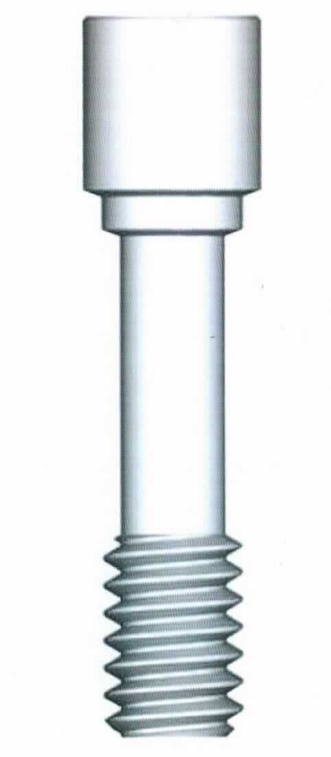 Es handelt sich um Schrauben aus einer Titanlegierung mit gewichtsmäßig vorherrschendem Titangehalt mit einem zylindrisch geformten Kopf mit Innensechskant. Der Schaft der ca. 9,1 mm langen Erzeugnisse ist mit einem nicht bis zum Kopf reichenden Gewinde versehen und am unteren Ende abgestumpft. Die sog. Halteschrauben dienen der Befestigung eines sog. provisorischen oder abgewinkelten Abutments an einem Zahnwurzelimplantat (jeweils nicht Gegenstand dieser vZTA) im Rahmen einer zahnmedizinischen Behandlung.
-Materialangaben laut Antragsteller-

Abbildung siehe Anlage.

Derartige Erzeugnisse gehören als "andere Waren aus Titan" zur Codenummer 8108 9090 99 0 des Zolltarifs.
