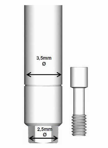 Abutment (künstlicher Zahnstumpf/Implantataufbau), sog. gerades Abutment mit TRI-Friction, für Plattform 3,5 mm (TRI-Vent-Implantate), Art.-Nr. TV10-35-F, in Form einer Warenzusammenstellung in Aufmachung für den Einzelverkauf, bestehend aus einem zylindrischen, geraden Abutment aus einer Titanlegierung mit internem Sechskant und einem Durchmesser (Austrittsprofil) von 3,5 mm (charakterbestimmender Bestandteil im Hinblick auf die Verwendung) für eine zementierte Restauration sowie einer Halteschraube aus Titan Grad 5 (Art.-Nr. RS-TV10).
Äußere Form: siehe Abbildung in der Anlage.
Das Abutment wird mit Hilfe der Schraube auf ein künstliches Zahnwurzelimplantat (nicht Gegenstand dieser Auskunft) geschraubt und dient so der Befestigung im Kiefer des Menschen. Anschließend wird der Aufbau mit der endgültigen Versorgung (ebenfalls nicht Gegenstand dieser Auskunft) versehen.
Die Bestandteile der Warenzusammenstellung sind gemeinsam in einer Blisterverpackung untergebracht.

Die Ware wird als "Teil, erkennbar hauptsächlich für eine Ware der Zahnprothetik der Position 9021 2900 bestimmt" eingereiht.