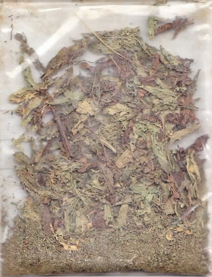 Nach den Antragsangaben und der vorliegenden Warenprobe, handelt es sich um getrocknete Blätter der Art Stevia rebaudiana Bertoni (Stevia Blätter), auch geschnitten oder in Pulverform, ohne weitere Zusätze. Die Blätter werden nach den Angaben in der Fachliteratur vorwiegend zum Süßen von Lebensmitteln verwendet.

Zolltarifrechtlich handelt es sich um pflanzliche Waren (Blätter der Art Stevia rebaudiana Bertoni) der hauptsächlich zur menschlichen Ernährung verwendeten Art, anderweit weder genannt noch inbegriffen, andere als in Unterpositionen 1212 2100 bis 1212 9941 genannt, keine Bienenpollen.