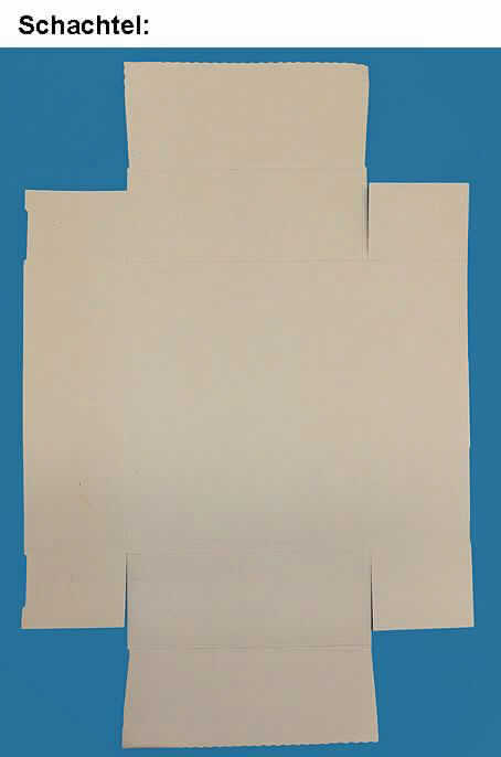Bei der vorgelegten, als "Karton" bezeichneten Ware handelt es sich um eine etwa 32,0 x 24,5 x 10,3 cm (L x B x H) große Stülpdeckelschachtel aus Wellpappe. Die Außenseiten der Schachtel und des Stülpdeckels sind bedruckt und mit einer dünnen Kunststofffolie überzogen. Die Ware dient dem Verpacken von Schuhen. Nach den ergänzenden Angaben der Antragstellerin werden die Schachtel und der Stülpdeckel als flachliegende Zuschnitte eingeführt, die durch einfaches Falten, Knicken und Zusammenstecken noch aufgebaut und zusammengefügt werden müssen.

Derartige Waren gehören als "Schachteln oder Kartons aus Wellpapier oder Wellpappe" zur Codenummer 4819 10 00 00 0 des Zolltarifs.