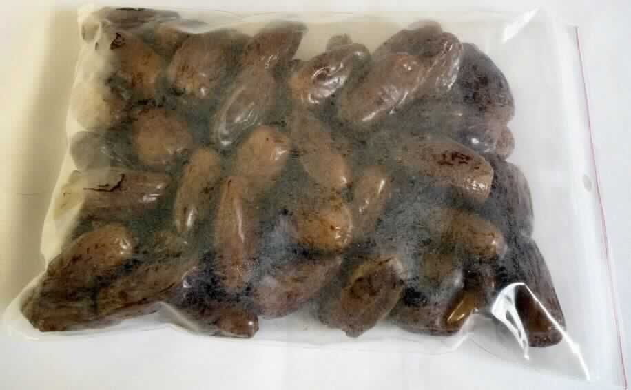 Datteln, getrocknet

Gelbbraune, ganze, ca. 4 cm lange, sehr süß schmeckende, getrocknete Datteln, ohne Kern.
Die Ware wird gehandelt in Packungen zu 8 kg.

Aus der Beschaffenheit der Warenprobe ergaben sich keine Hinweise auf eine Zubereitung, die über die bei 
Waren des Kap. 8 zulässigen Verfahren hinausgeht.

Datteln, getrocknet, in unmittelbaren Umschließungen mit einem Gewicht des Inhalts von 35 kg oder weniger