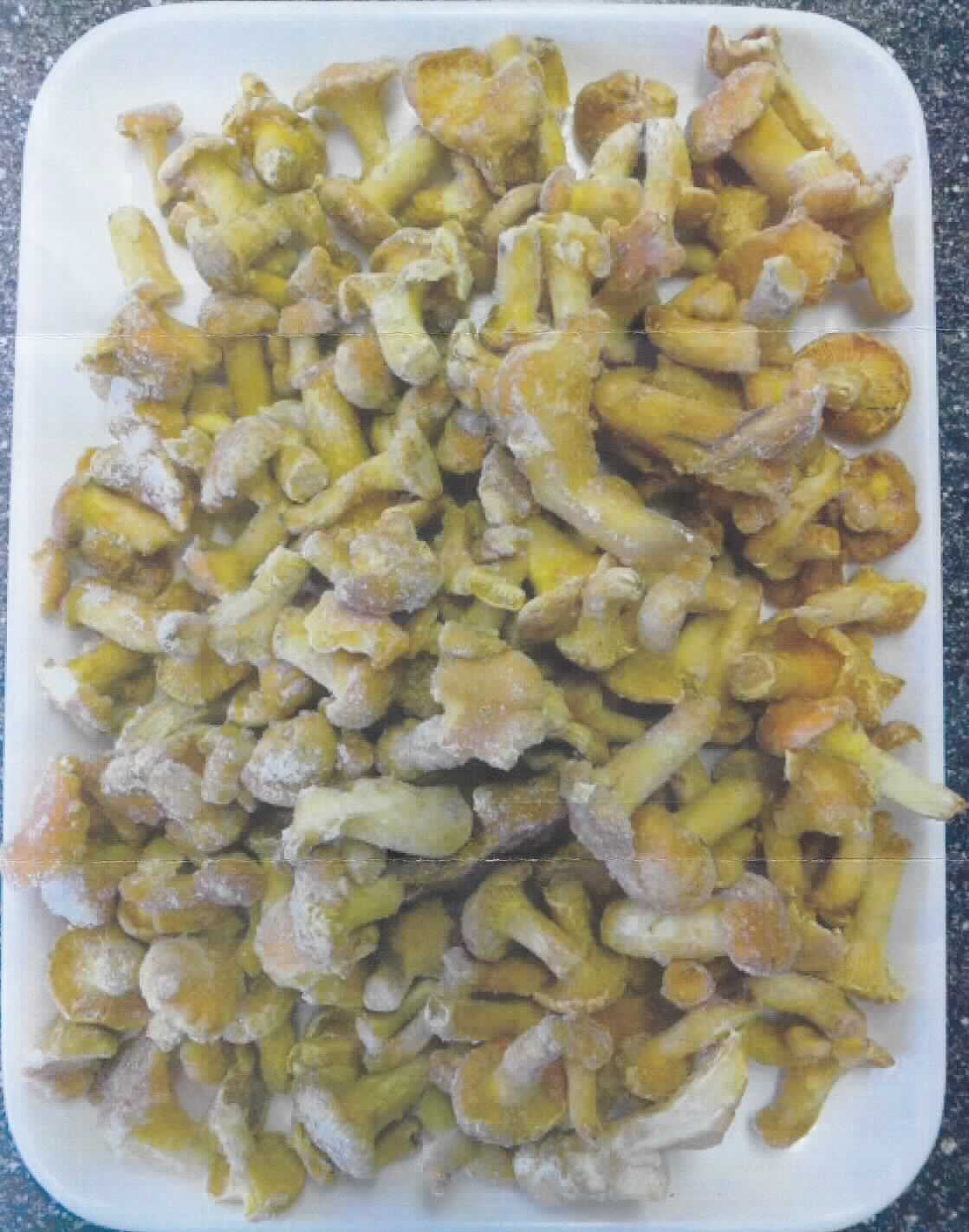Tiefgefrorene Pilze (Pfifferlinge)

Ein Warenmuster lag nicht vor, jedoch ein Foto und Angaben zur Herstellung.

Nach den Antragsangaben handelt es sich um gesäuberte, geschnittene, blanchierte und anschließend 
tiefgefrorene Pfifferlinge ("Cantharellus cibarius") ohne Zusätze, die als Bulkware eingeführt werden.

Gemüse, blanchiert, gefroren, Pfifferlinge (Gattung Cantharellus)