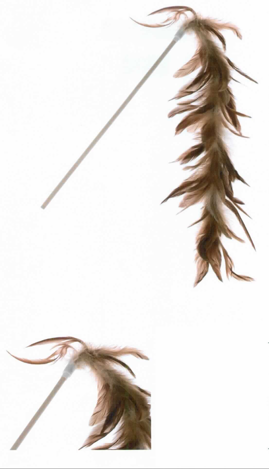 Ware aus Federn, sog. Katzenangel (ein Warenmuster wurde nicht vorgelegt, die Einreihung erfolgt aufgrund der Antragsangaben und eines Fotos), Abbildung siehe Anlage, 
- in Form einer aus verschiedenen Stoffen zusammengesetzten Ware, bestehend aus: 
- - einem ca. 40 cm lange Stab aus Holz, 
- - einer ca 40 cm langen Boa aus Federn; befestigt an einem Ende des Holzstabes, 
- die Federn sind in Bezug auf die Verwendung als Katzenspielzeug charakterbestimmend,
- keine Einreihung als Spielzeug der Position 9503, da aufgrund der Aufmachung, der Form und des verwendeten
  Materials erkennbar ausschließlich für Tiere bestimmt.

"Ware aus Federn (Katzenangel)"