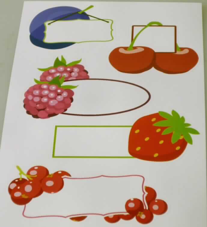 Bei den als "Home-Etiketten" bezeichneten Waren handelt es sich nach dem zur Veranschaulichung vorgelegten Warenmuster um einen rechteckigen Zuschnitt aus Papier (Format etwa 7,8 x 12,5 cm), dessen Rückseite mit einer Selbstklebeschicht versehen und auf ein Trägerpapier aufgebracht ist. Aus diesem Zuschnitt sollen fünf gestanzte, zum Abziehen bestimmte Etiketten aus Papier in unterschiedlichen Abmessungen und Formen herausgebrochen werden. Die Etiketten sind vorderseitig mit fünf grafische Darstellungen von Früchten (z. B. Kirschen, Erdbeere) bedruckt sowie mit einem eingerahmten Textfeld zum handschriftlichen Beschreiben versehen. Laut Verpackungsaufschrift sind drei dieser Zuschnitte gemeinsam mit einem mit Produktangaben bedruckten Einleger mit Eurolochung in einem Tütchen aus Kunststofffolie verpackt. 

Derartige Waren gehören als "Etiketten aller Art aus Papier, bedruckt, selbstklebend" zur Codenummer 4821 1010 00 des Integrierten Zolltarifs der EG (TARIC).