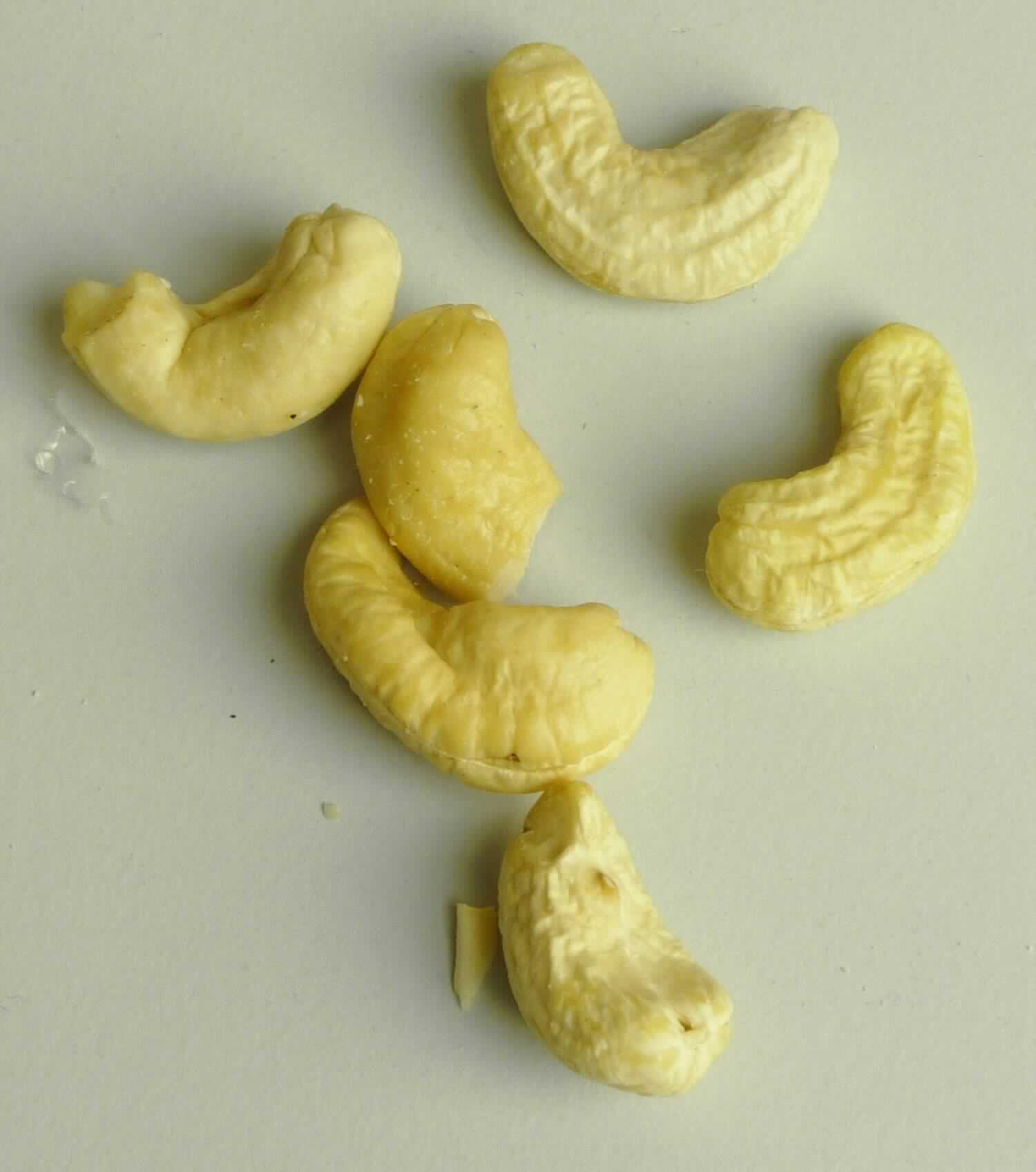 Cashewnüsse

Beschaffenheit der vorgelegten Warenprobe:
Vorherrschend vollständig enthäutete, beigefarbene, intakte Cashewkerne, durchsetzt mit wenigen Bruchstücken 
und Kernhälften; nur vereinzelt Reste von Samenhäutchen; ohne äußere Braunfärbung, die auf ein Rösten hinweist; 
Geschmack nussig, süßlich; weder geruchlich noch geschmacklich wahrnehmbares Röstaroma.

Es ergeben sich keine Hinweise, dass die Cashewkerne einer über Kapitel 8 hinausgehenden Behandlungen 
unterzogen wurden.

Cashewnüsse (Kaschu-Nüsse) ohne Schale