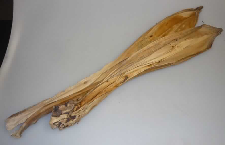 Areca Catechu
- ca. 50 cm längliches, lediglich getrocknetes Blatt mit einer Breite von ca. 7 cm, der
  Betelnusspalme (Areca Catechu, lt. Antrag),
- zu Binde- und Zierzwecken geeignet,
- wird üblicherweise im Blumenhandel angeboten.
(Abbildung siehe Anlage)

"Anderes Pflanzenteil, ohne Blüten und Blütenknospen, keine Moose und Flechten, zu Binde- oder Zierzwecken, nur getrocknet, sog. Beetal Cover"