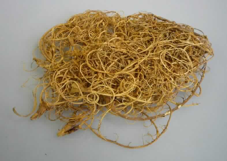 Sog. Curly Moss
- lediglich getrocknetes Blattgerüst des Tamarindenbaumes (Tamarindus Indica),
- nach Art und Beschaffenheit nicht zum Flechten geeignet, 
- zu Binde- und Zierzwecken geeignet,
- wird üblicherweise im Blumenhandel angeboten.
(Abbildung siehe Anlage)

"Andere Pflanzenteile, ohne Blüten und Blütenknospen, keine Moose und Flechten, nur getrocknet; sog. Curly Moss"