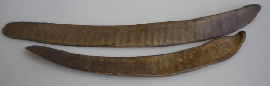 Step Fruit
- geöffnete, leere (ohne Samen), lediglich getrocknete Schote des Flammenbaumes (Delonix
  Elata), mit brauner Außenseite und einer Länge von ca. 35 cm,
- zu Binde- und Zierzwecken geeignet,
- wird üblicherweise im Blumenhandel angeboten.
(Abbildung siehe Anlage)

"Andere Pflanzenteile, ohne Blüten und Blütenknospen, keine Moose und Flechten, nur getrocknet; Step Fruit"